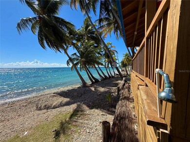 3 Guaradrraya, Patillas, PR 00723 - photo 5