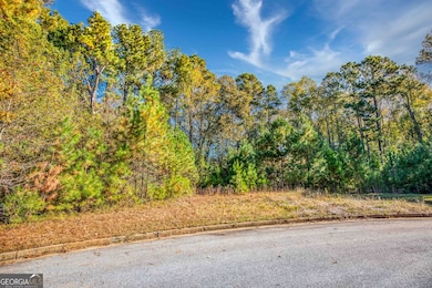 120 Hidden Falls Ct, Rutledge, GA 30663 - photo 7