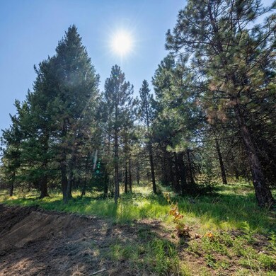 Lot 33 To Be Determined unit 33, McCall, ID 83638 - photo 2