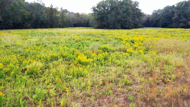 5015 Farm To Market Road 561, Simms, TX 75574 - photo 4