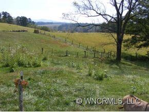 pasture and fencing