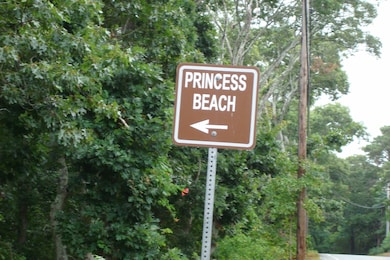 6 Thomas Ct, Dennis, MA 02638 - photo 3