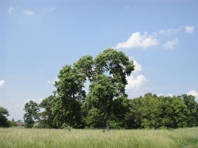 1045 W Cattail Ct, Nixa, MO 65714 - photo 2