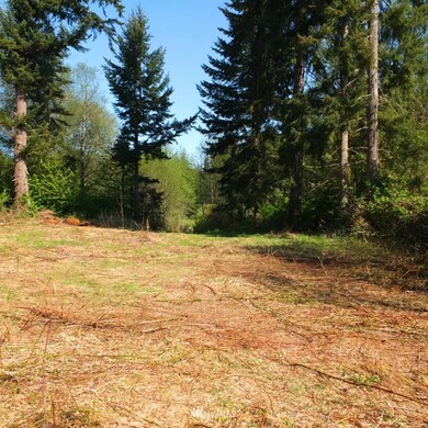 unlisted-address, Stanwood, WA 98292 - photo 6