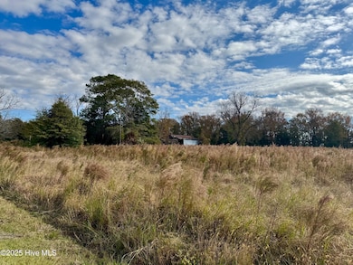 180 Asbury Rd, Cove City, NC 28523 - photo 2
