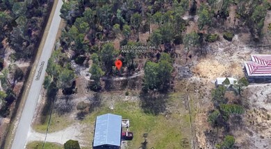 2311 Columbus Ave, Alva, FL 33920 - photo 5