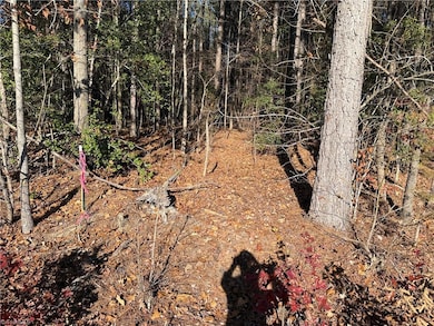 19.6 acres Willie Rd, Seagrove, NC 27341 - photo 3