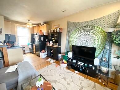 316 Summit Ave unit 12, Brighton, MA 02135 - photo 5