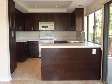 Brand new kitchen