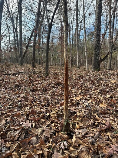 TBD Minorca Rd, Datto, AR 72444 - photo 4