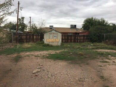 CLOSER VIEW OF BACK SHED