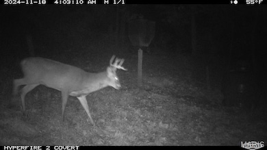 14912 Illinois 96, Nebo, IL 62355 - photo 2