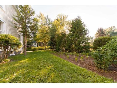 Yard/Garden.