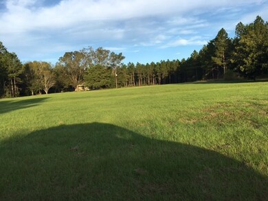 20353 Us Hwy 319 N, Coolidge, GA 31738 - photo 2