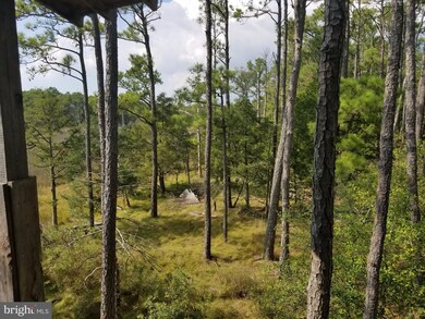 0 Toddville - Bishops Head Rd unit 1000999421, Toddville, MD 21672 - photo 3