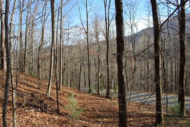 00 W Old Murphy Rd, Franklin, NC 28734 - photo 2