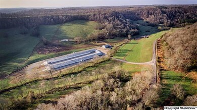 707 Petty Branch Rd, Prospect, TN 38477 - photo 6