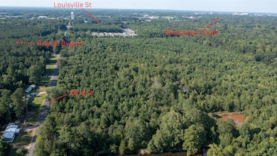 33.6 acres E Side Sand Rd, Starkville, MS 39759 - photo 3