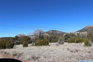 5103 Little Walnut Rd, Silver City, NM 88061 - photo 6