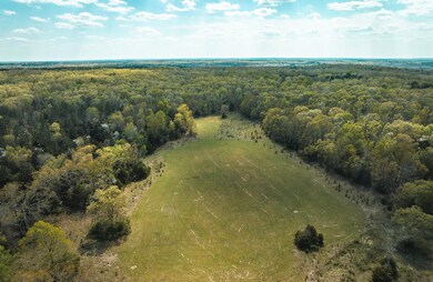 DJI_0419 - Copy (2)