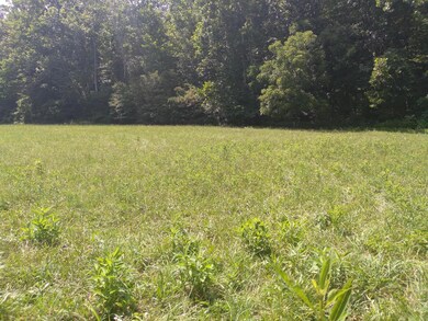 Land #5
