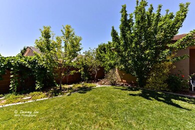 Backyard b