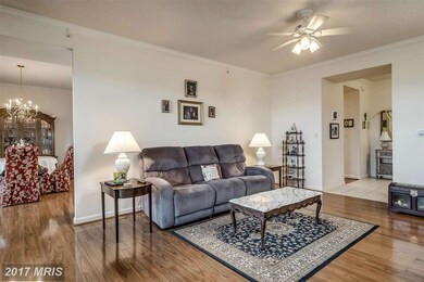 The Magnolias at Lansdowne Woods unit 304, Leesburg, VA 20176 - photo 4