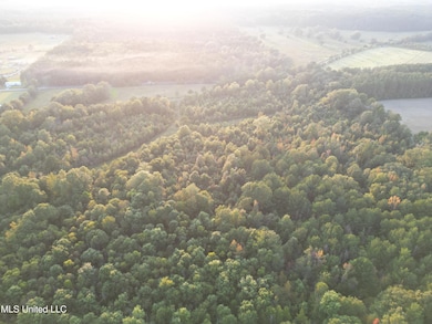 1844 Swamp Rd, Carthage, MS 39051 - photo 2