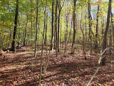 0 Backus Mountain Rd, Meadow Bridge, WV 25976 - photo 6