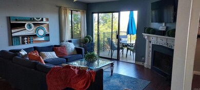 6537 Corte Valdez, Carlsbad, CA 92009 - photo 2