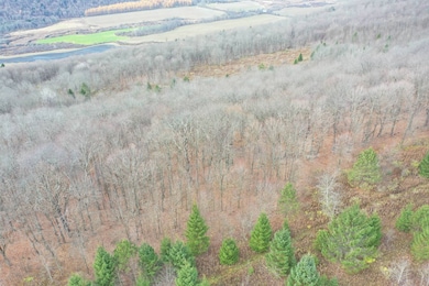 0WP Wothe-Freeman Rd, Deruyter, NY 13052 - photo 7