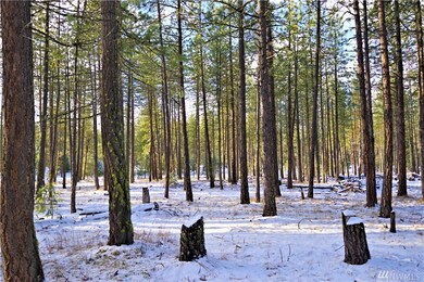 10 Winston Rd, Ronald, WA 98940 - photo 5