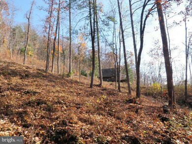 210 Middle River Fst Rd, Stanardsville, VA 22973 - photo 4