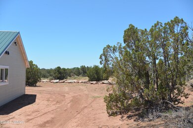 5042 Cedar Hills Rd, Snowflake, AZ 85937 - photo 4