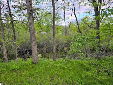 Cedar and W 12th St, Evart, MI 49631 - photo 4