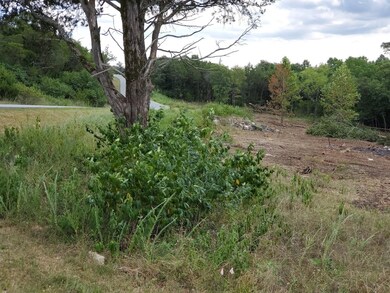 Lot 175 Silver Sunset Ln, Ruth B Rural Township, MO 65686 - photo 7