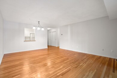 41 Centre St unit 203, Brookline, MA 02446 - photo 7