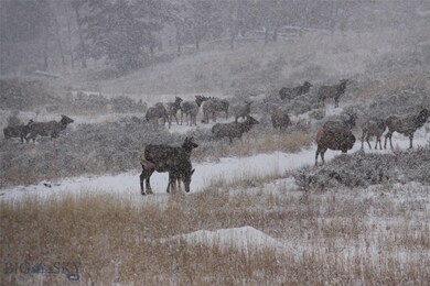 6519 Beaver Creek Rd, Big Sky, MT 59716 - photo 6
