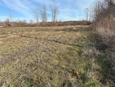 lot 1 Macey Rd, Willis, MI 48191 - photo 7