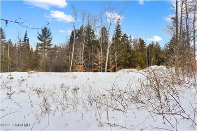 L89 Highview Ln unit Lot 5, Wevertown, NY 12886 - photo 7