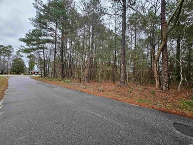 Lot 1 C Peach Tree Rd, Marion, SC 29571 - photo 5