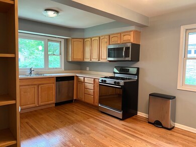 625 N Brainard St, Naperville, IL 60563 - photo 7