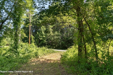 43 Buttermilk Falls Rd, Catskill, NY 12414 - photo 3