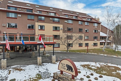 23 Black Bear Rd unit 410, Waterville Valley, NH 03215 - photo 2