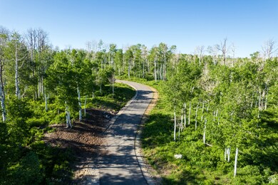 503 N Trappers Loop Rd unit 63, Heber City, UT 84032 - photo 2