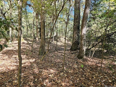 TBD Tunica Trace, Saint Francisville, LA 70775 - photo 2