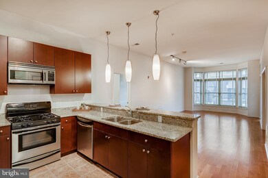 Twelve 09 unit 219, Baltimore, MD 21201 - photo 6