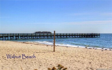 12 Naugatuck Ave unit A4, Milford, CT 06460 - photo 5