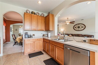 9552 Baton Rouge Ln, Land O Lakes, FL 34638 - photo 7