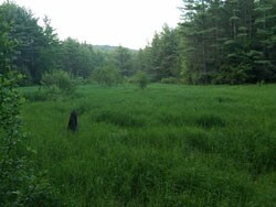 450 Glebe Rd, Westmoreland, NH 03467 - photo 7